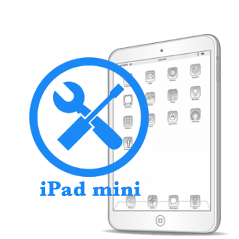 iPad - Ремонт перемикача режимів mini