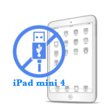 Ремонт Ремонт iPad iPad mini 4 Ремонт разьема синхронизации (зарядки) 