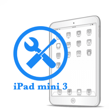 Ремонт Ремонт iPad iPad mini 3 Устранение неполадок по плате 