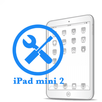 Ремонт Ремонт iPad iPad mini Retina Устранение неполадок по плате 