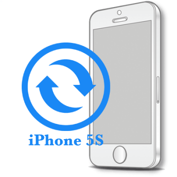 Ремонт Замена дисплейного модуля (экрана) iPhone iPhone 5S Замена экрана (дисплея)  оригинал