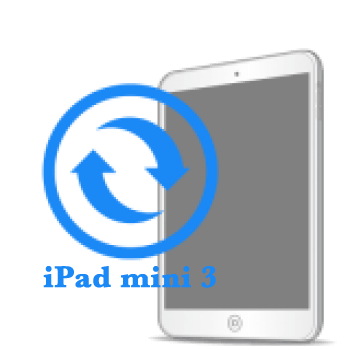 Ремонт Ремонт iPad iPad Mini 3 (2014) Замена экрана iPad mini 3