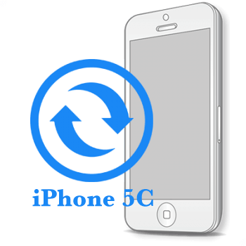 iPhone 5C Замена контроллера изображения (подсветки) 