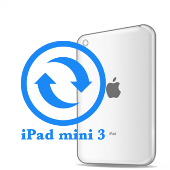 Ремонт Ремонт iPad iPad mini 3 Замена корпуса 