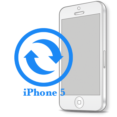 Замена дисплейного модуля (экрана) iPhone iPhone 5 Замена экрана (дисплея)  копия