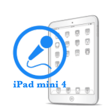 Ремонт Ремонт iPad iPad mini 4 Замена микрофона 