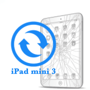 Ремонт Ремонт iPad iPad mini 3 Замена стекла 