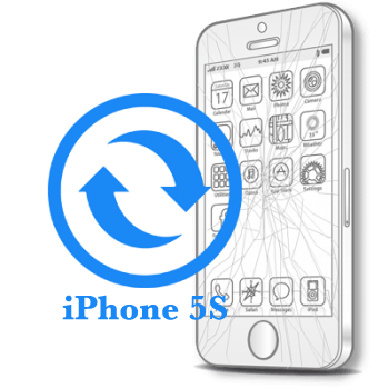 Замена стекла (тачскрина) iPhone 5s