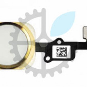 Кнопка Home у комплекті зі шлейфом для iPhone 6s+ Plus (Gold)