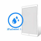Ремонт Ремонт iPad iPad Mini 5 Чистка после попадания воды 