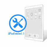 Ремонт Ремонт iPad iPad Mini 5 Замена микрофона 