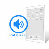 Ремонт Ремонт iPad iPad Mini 5 Замена динамика 