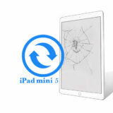 Ремонт Ремонт iPad iPad Mini 5 Заміна екрану (дисплею) 