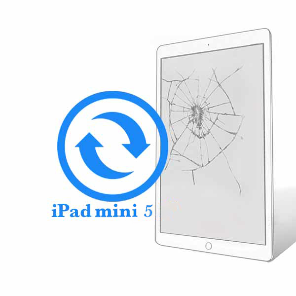 iPad - Замена экрана (дисплея) Mini 5