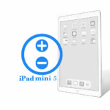 Ремонт Ремонт iPad iPad Mini 5 Ремонт кнопок громкости 