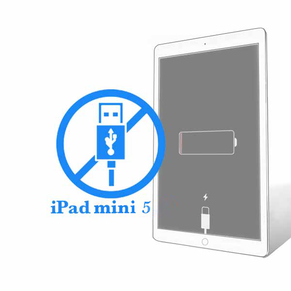 iPad - Ремонт разъема синхронизации (зарядки) Mini 5