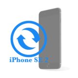 Ремонт Замена дисплейного модуля (экрана) iPhone iPhone SE 2 Замена экрана (дисплея)  копия