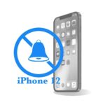 iPhone 12 - Замена вибромотора