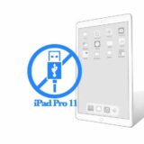 Ремонт Ремонт iPad iPad Pro 11 Замена разъема зарядки и синхронизации 