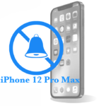 Pro - Ремонт переключателя режимов iPhone 12 Max