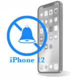 iPhone 12 Ремонт перемикача режимів 