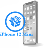 iPhone 12 Mini Резервное копирование данных 