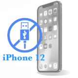 Ремонт iPhone 12 Заміна USB-контролера для 